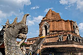 Chiang Mai - The Wat Chedi Luang. The massive chedi heavily damaged by an earthquake has been partially reconstructed apart from the spire since nobody can be sure what it looked like. 